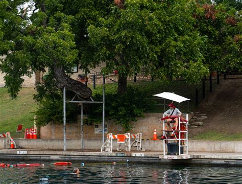 City delays ceremony, removal of Barton Springs Pool tree 'Flo'